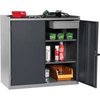 V&aelig;rkt&oslash;jsskab ErgoDouble, RAL7004/7024