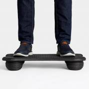 Balancebr&aelig;t StandActive, Sort