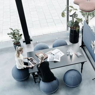 Siddebold Office Ballz, Stor Prisgr. 2