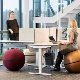 Siddebold Office Ballz, Stor Prisgr. 1