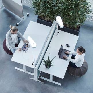 Siddebold Office Ballz, Lille Prisgr. 1